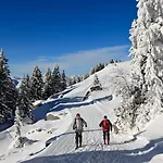 Pensionat Gaestehaus Boeck 3*