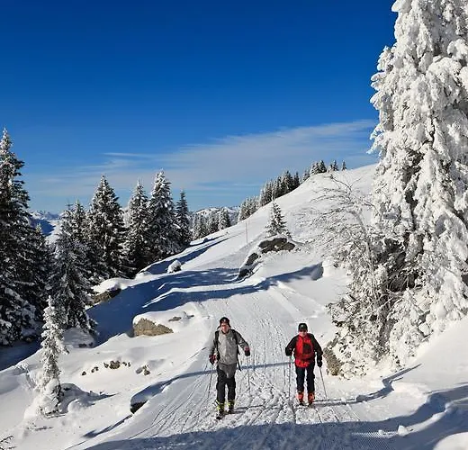 Affittacamere Gaestehaus Boeck 3*